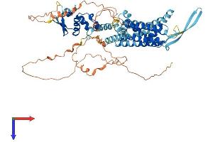Kv3.4 Protein (AA 1-635) (His tag)