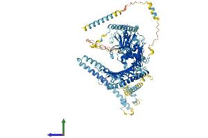 Protein Structure (PS) image for Coiled-Coil Domain Containing 135 (CCDC135) (AA 1-874) protein (His tag) (ABIN7547209)