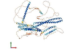 Protein Structure (PS) image for Disrupted in Schizophrenia 1 (DISC1) (AA 1-854) protein (His tag) (ABIN7553667)