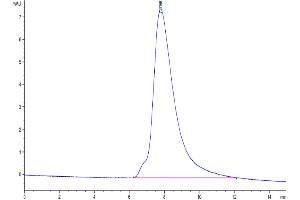 Size-exclusion chromatography-High Pressure Liquid Chromatography (SEC-HPLC) image for CD47 (CD47) (AA 19-139) protein (His-Avi Tag,Biotin) (ABIN7274233)
