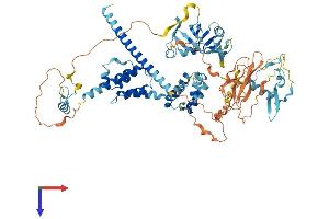 PEG10 Protein (AA 1-708) (His tag)