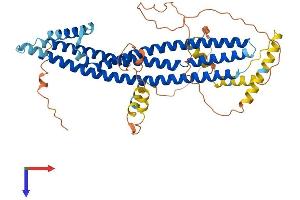 ICA1 Protein (AA 1-483) (His tag)