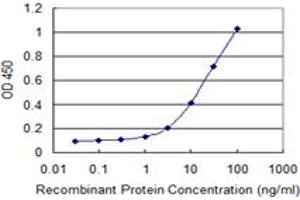 Detection limit for recombinant GST tagged RNF113A is 0. (RNF113A Antikörper  (AA 1-343))