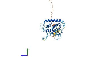 Protein Structure (PS) image for Gem (Nuclear Organelle) Associated Protein 2 (GEMIN2) (AA 1-280) protein (His tag) (ABIN7547972)