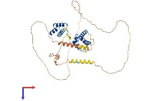POU4F1 Protein (AA 1-419) (His tag)