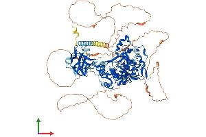 AlphaFold protein structure predicition of Mouse Recombinant Galnt5 Protein, UniprotID Q8C102 (GALNT5 Protein (AA 1-930) (His tag))