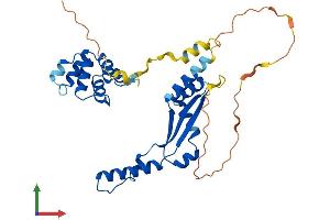 Protein Structure (PS) image for Death Effector Domain Containing (DEDD) (AA 1-318) protein (His tag) (ABIN7556386)