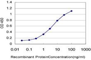 Detection limit for recombinant GST tagged ARAF is approximately 0. (ARAF Antikörper  (AA 151-250))