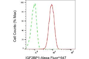 Flow cytometric analysis of IGF2BP1 expression in HT- cells using IGF2BP1 antibody (ABIN7799050), 1:2,000). (Rekombinanter IGF2BP1 Antikörper)