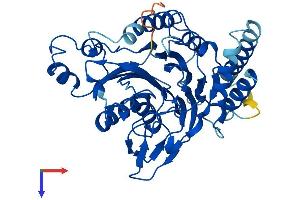 SCRN2 Protein (AA 1-425) (His tag)