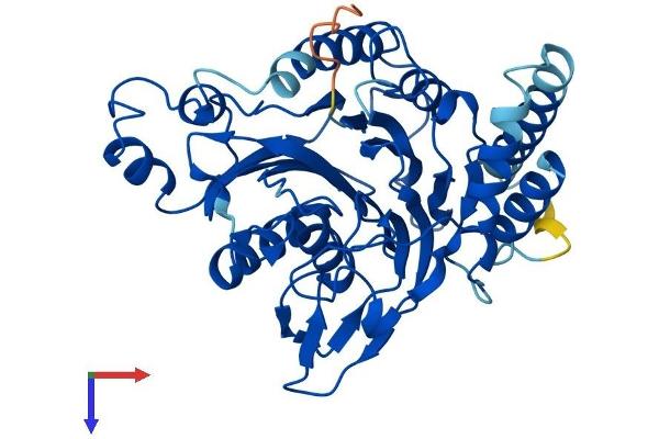 SCRN2 Protein (AA 1-425) (His tag)
