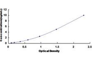 Image no. 1 for Succinate Dehydrogenase Complex, Subunit D, Integral Membrane Protein (SDHD) ELISA Kit (ABIN1874404)