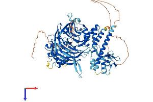GTF3C4 Protein (AA 1-822) (His tag)