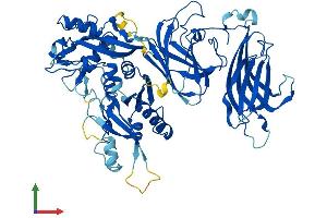 Protein Structure (PS) image for Calpain 6 (CAPN6) (AA 1-641) protein (His tag) (ABIN7552837)