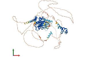 Protein Structure (PS) image for NIMA related kinase 4 (NEK4) (AA 1-792) protein (His tag) (ABIN7565277)
