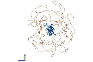 Protein Structure (PS) image for Nuclear Factor of Activated T-Cells 5, Tonicity-Responsive (NFAT5) (AA 1-1534) protein (His tag) (ABIN7565228)