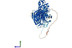 Protein Structure (PS) image for Kelch-Like 24 (KLHL24) (AA 1-600) protein (His tag) (ABIN7548744)