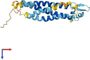 TM4SF4 Protein (AA 1-202) (His tag)