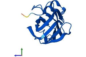 Protein Structure (PS) image for Nuclear Receptor 2C2-Associated Protein (NR2C2AP) (AA 1-139) protein (His tag) (ABIN7549803)