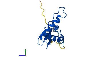 Protein Structure (PS) image for Transcription Elongation Factor B (SIII), Polypeptide 1 (15kDa, Elongin C) (TCEB1) (AA 1-112) protein (His tag) (ABIN7556758)