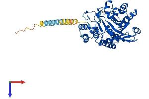 ST8SIA5 Protein (AA 1-376) (His tag)