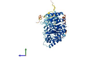 AlphaFold protein structure predicition of Human Recombinant PRAMEF12 Protein, UniprotID O95522