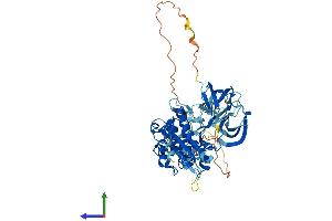 Protein Structure (PS) image for TXK tyrosine Kinase (TXK) (AA 1-527) protein (His tag) (ABIN7555915)