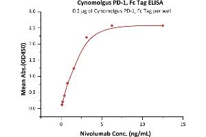 Immobilized Cynomolgus PD-1, Fc Tag (ABIN2181604,ABIN2181603) at 2 μg/mL (100 μL/well) can bind Nivolumab with a linear range of 0. (PD-1 Protein (AA 25-167) (Fc Tag))