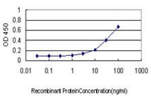 Detection limit for recombinant GST tagged SEPT10 is approximately 1ng/ml as a capture antibody. (Septin 10 Antikörper  (AA 1-454))