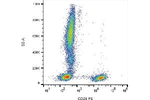 Flow cytometry analysis (surface staining) of human peripheral blood leukocytes with anti-human CD28 (CD28. (CD28 Antikörper  (PE))