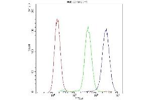 Flow Cytometry analysis of U20S cells using anti-PPID antibody (ABIN5693052).