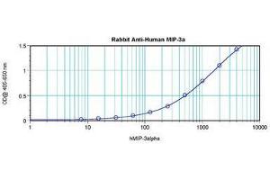 Image no. 3 for anti-Chemokine (C-C Motif) Ligand 20 (CCL20) antibody (ABIN465457) (CCL20 Antikörper)