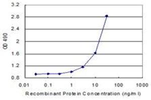 Sandwich ELISA detection sensitivity ranging from 1 ng/mL to 100 ng/mL. (CD86 (Human) Matched Antibody Pair)