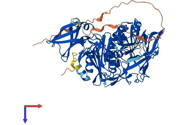 AIFM3 Protein (AA 1-605) (His tag)