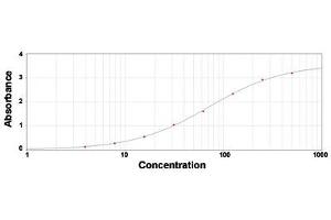 ELISA analysis of C4A polyclonal antibody  under 2 ug/mL working concentration. (Complement C4 Antikörper)