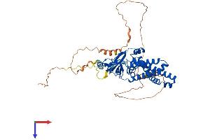 AlphaFold protein structure predicition of Human Recombinant ZDHHC14 Protein, UniprotID Q8IZN3
