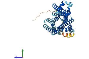Protein Structure (PS) image for Trace Amine Associated Receptor 5 (TAAR5) (AA 1-337) protein (His tag) (ABIN7544154)