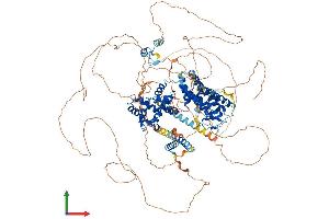 AlphaFold protein structure predicition of Human Recombinant RC3H1 Protein, UniprotID Q5TC82