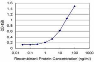 Detection limit for recombinant GST tagged MEF2A is approximately 1ng/ml as a capture antibody. (MEF2A Antikörper  (AA 71-170))