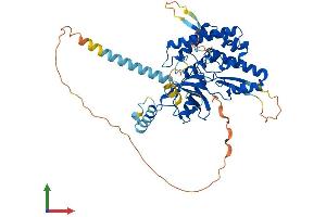 Protein Structure (PS) image for Phosphatidylinositol 4-Kinase Type 2 alpha (PI4K2A) (AA 1-479) protein (His tag) (ABIN7557010)