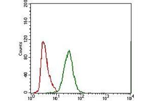 Flow cytometric analysis of A549 cells using ABCC4 mouse mAb (green) and negative control (red). (ABCC4 Antikörper  (AA 631-692))