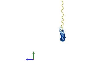 Protein Structure (PS) image for Heat Shock Factor Binding Protein 1 (HSBP1) (AA 1-76) protein (Fc Tag) (ABIN7548355)