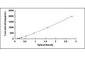 Typical standard curve (BMP2 ELISA Kit)