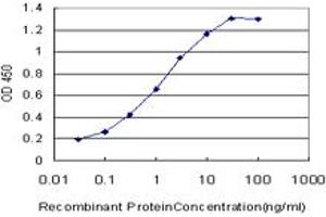 Detection limit for recombinant GST tagged LHX4 is approximately 0. (LHX4 Antikörper  (AA 208-306))