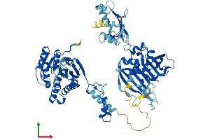 Protein Structure (PS) image for Hydroxysteroid (17-Beta) Dehydrogenase 4 (HSD17B4) (AA 1-735) protein (His tag) (ABIN7563387)