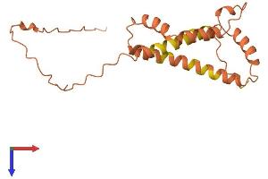 AlphaFold protein structure predicition of Human Recombinant C15orf32 Protein, UniprotID Q32M92