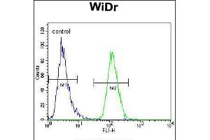 Flow cytometric analysis of WiDr cells (right histogram) compared to a negative control cell (left histogram). (PIK3R5 Antikörper  (C-Term))