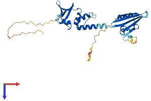 KCTD15 Protein (AA 1-283) (His tag)