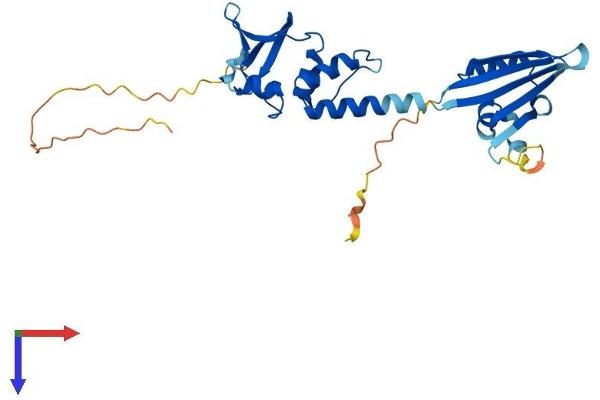KCTD15 Protein (AA 1-283) (His tag)