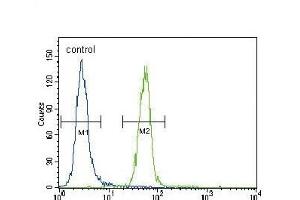 FYN Antibody (N-term) (ABIN392098 and ABIN2841850) flow cytometric analysis of Hela cells (right histogram) compared to a negative control cell (left histogram).
